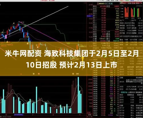 米牛网配资 海致科技集团于2月5日至2月10日招股 预计2月13日上市