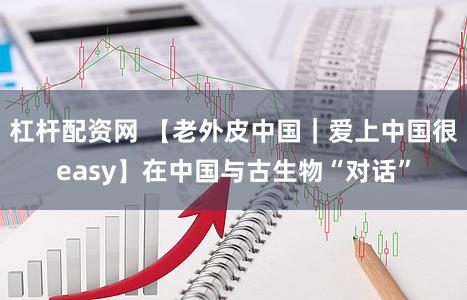 杠杆配资网 【老外皮中国｜爱上中国很easy】在中国与古生物“对话”