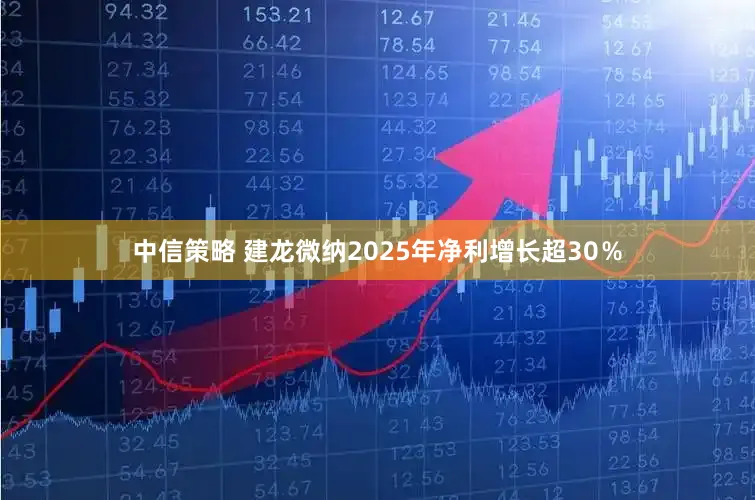 中信策略 建龙微纳2025年净利增长超30％