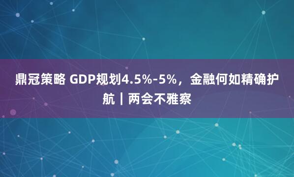 鼎冠策略 GDP规划4.5%-5%，金融何如精确护航｜两会不雅察