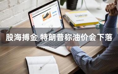 股海搏金 特朗普称油价会下落