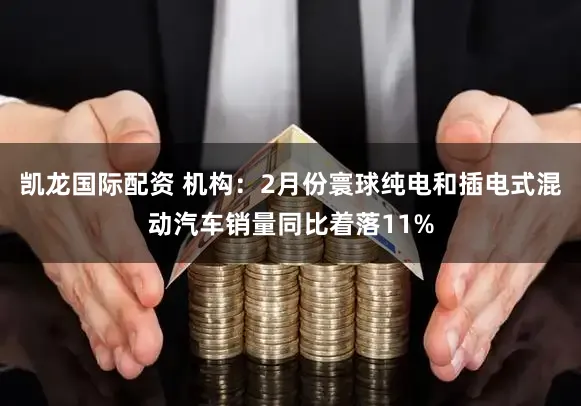 凯龙国际配资 机构：2月份寰球纯电和插电式混动汽车销量同比着落11%