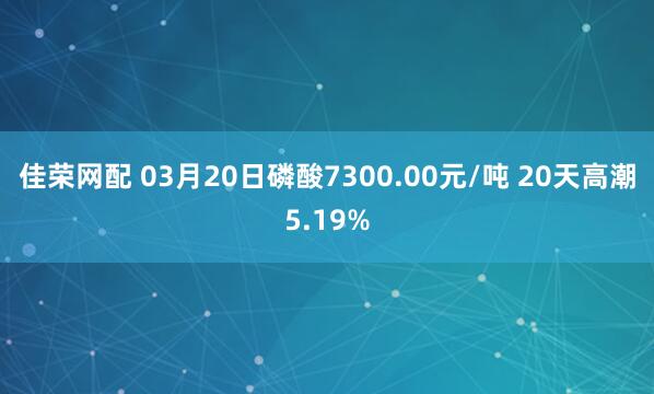 佳荣网配 03月20日磷酸7300.00元/吨 20天高潮5.19%