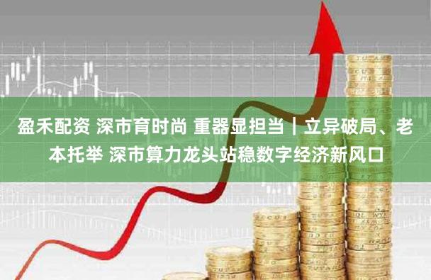 盈禾配资 深市育时尚 重器显担当｜立异破局、老本托举 深市算力龙头站稳数字经济新风口