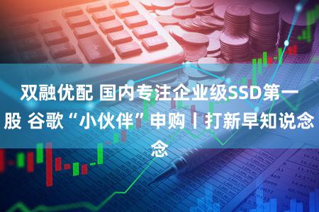 双融优配 国内专注企业级SSD第一股 谷歌“小伙伴”申购丨打新早知说念