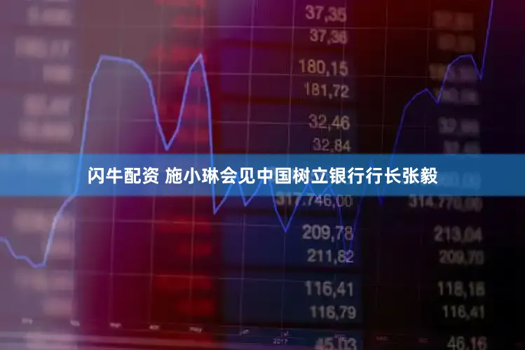 闪牛配资 施小琳会见中国树立银行行长张毅