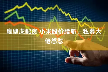 赢壁虎配资 小米股价腰斩，私募大佬怒怼