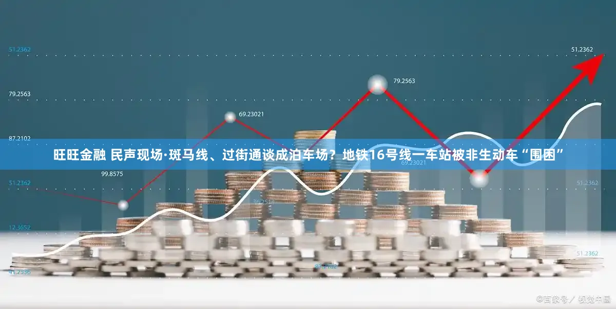 旺旺金融 民声现场·斑马线、过街通谈成泊车场?地铁16号线一车站被非生动车“围困”