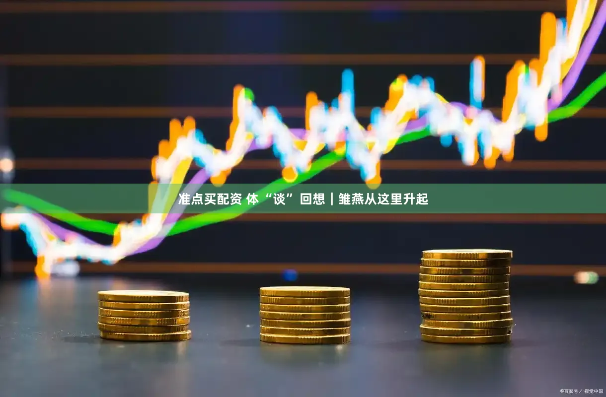 准点买配资 体 “谈” 回想｜雏燕从这里升起